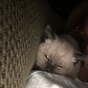 Meet your Posher, Cindy